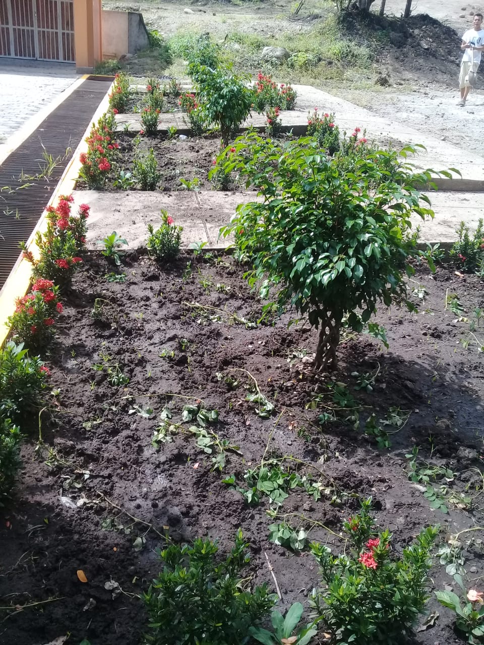 dionisio1
